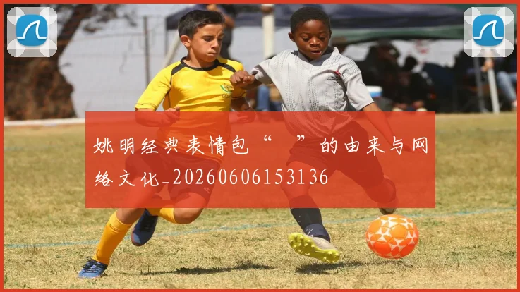 姚明经典表情包“囧”的由来与网络文化_20260606153136